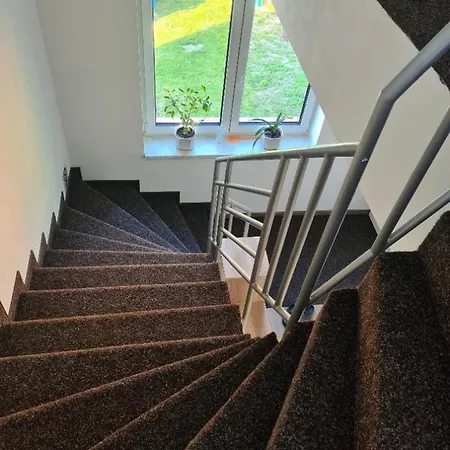 Nový Ples Vila *