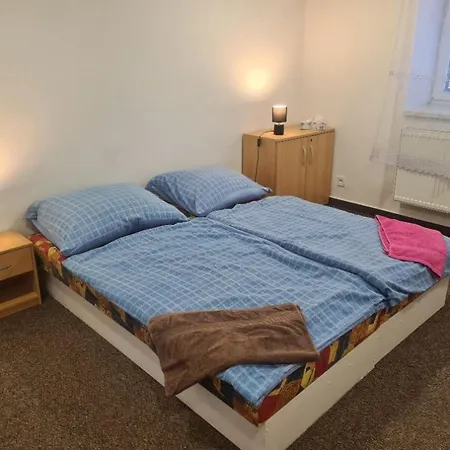 Nový Ples Novy Ples