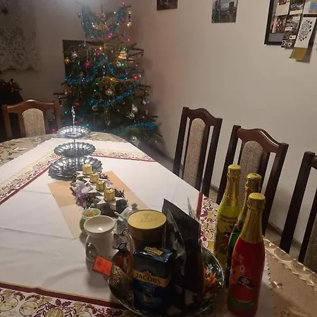Nový Ples